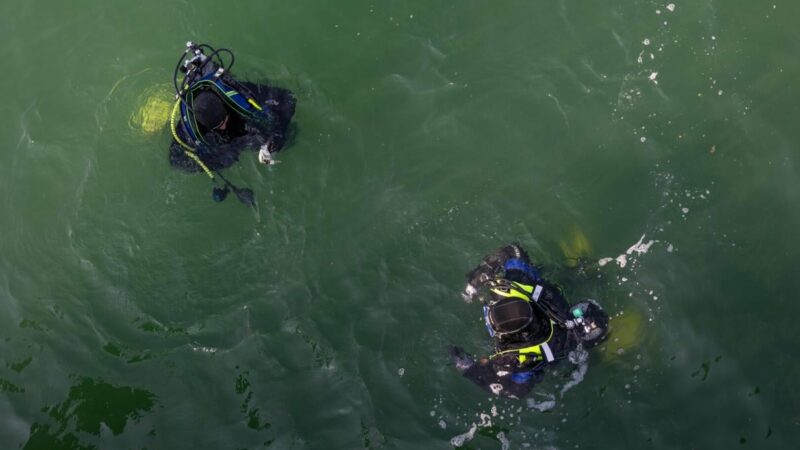Badeunfall: Mann im Strandbad Alte Donau von Feuerwehrtauchern gerettet