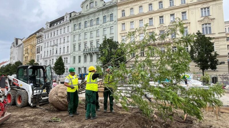Berliner Bäume laden künftig am Naschmarkt zum Naschen ein