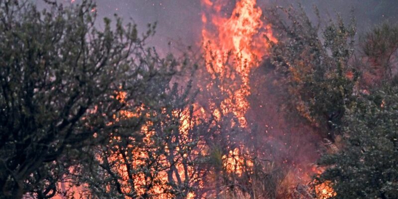 Brand nahe Campingplatz in der Toskana – 600 Gäste evakuiert
