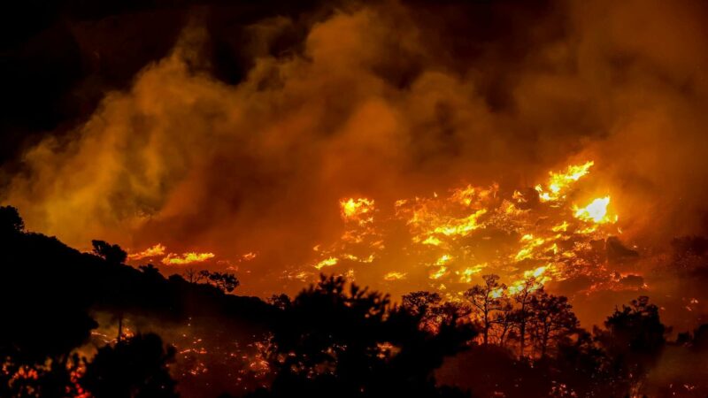 Hotels und Dörfer evakuiert: Waldbrand auf griechischer Ferieninsel