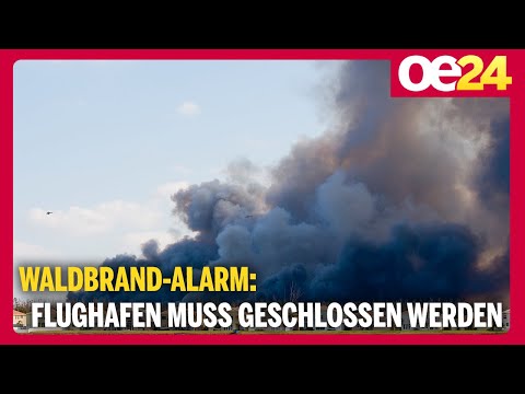 Waldbrand-Alarm: Flughafen muss geschlossen werden