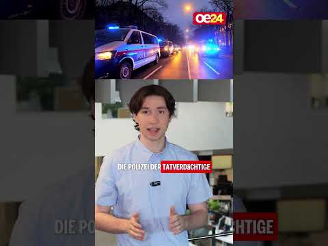 Steiermark: Eemann schießt Schwager nieder!