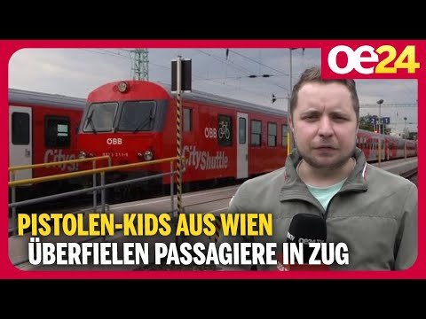 Pistolen-Kids aus Wien überfielen Passagiere in Zug