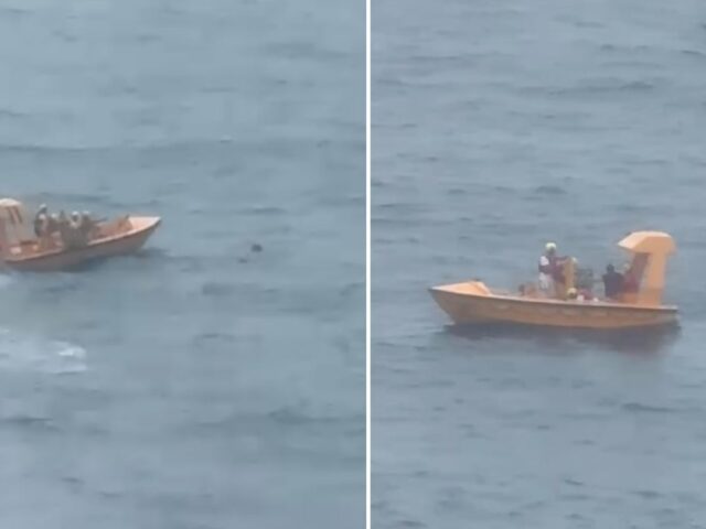 Mädchen stürzt während Kreuzfahrt ins Wasser: Vater springt nach