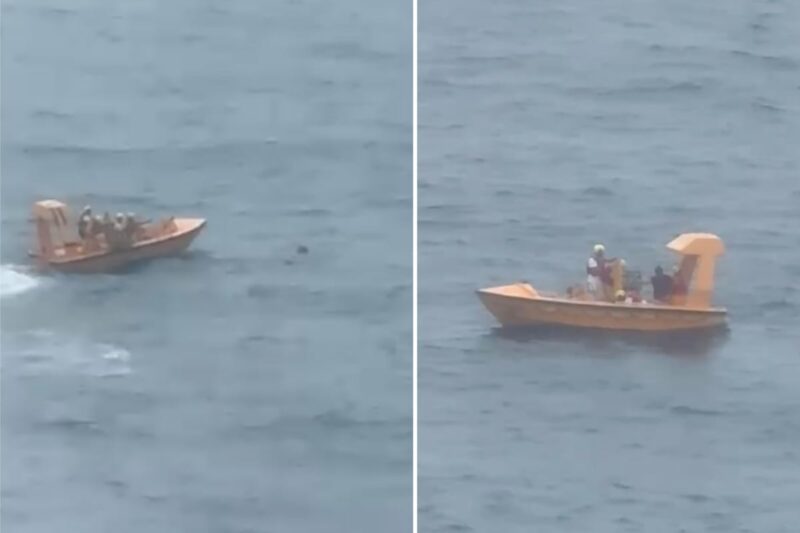 Mädchen stürzt während Kreuzfahrt ins Wasser: Vater springt nach