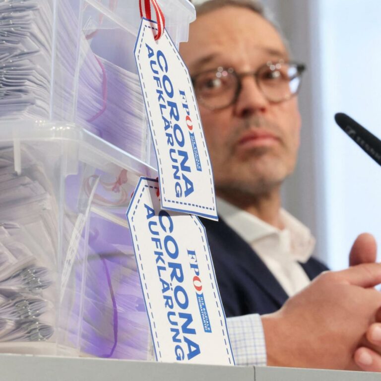Pilnacek und Corona: Warum aus Kickls U-Ausschuss bald zwei werden könnten