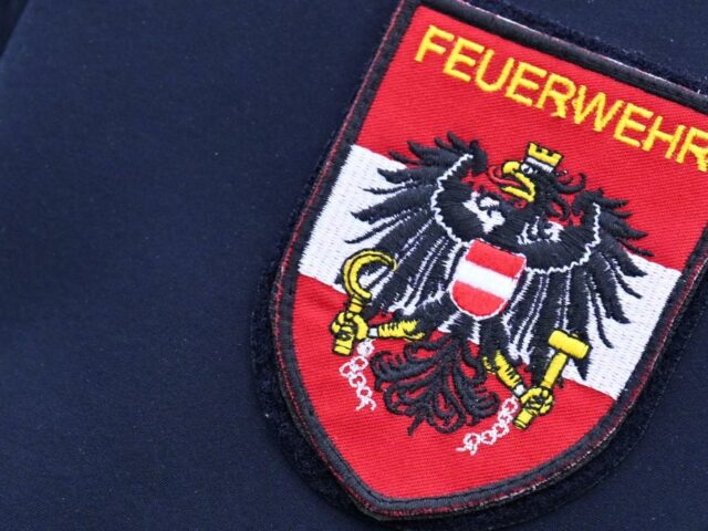Stark alkoholisiert: Linzer Feuerwehr holte 28-Jährigen von Baum