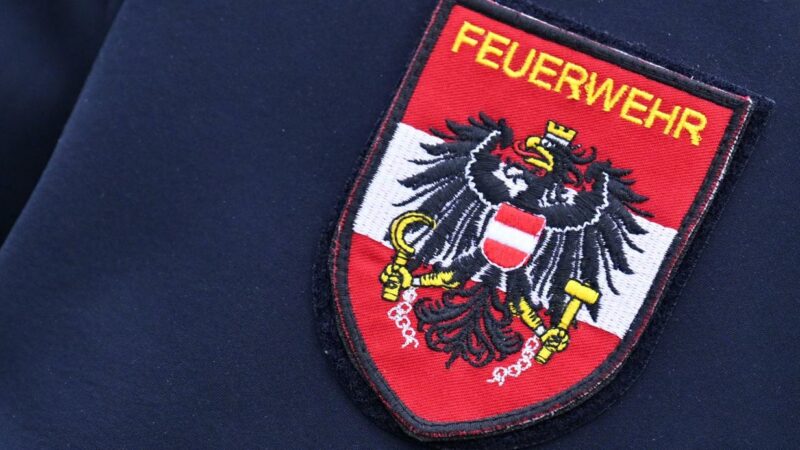 Stark alkoholisiert: Linzer Feuerwehr holte 28-Jährigen von Baum