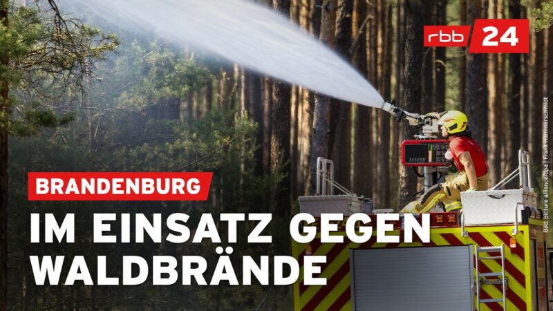 Waldbrand in Deutschland: Munition auf Truppenübungsplatz könnte explodieren