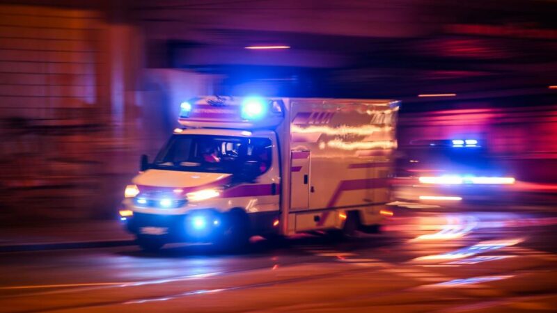 Mindestens 20 Verletzte bei Zugkollesion